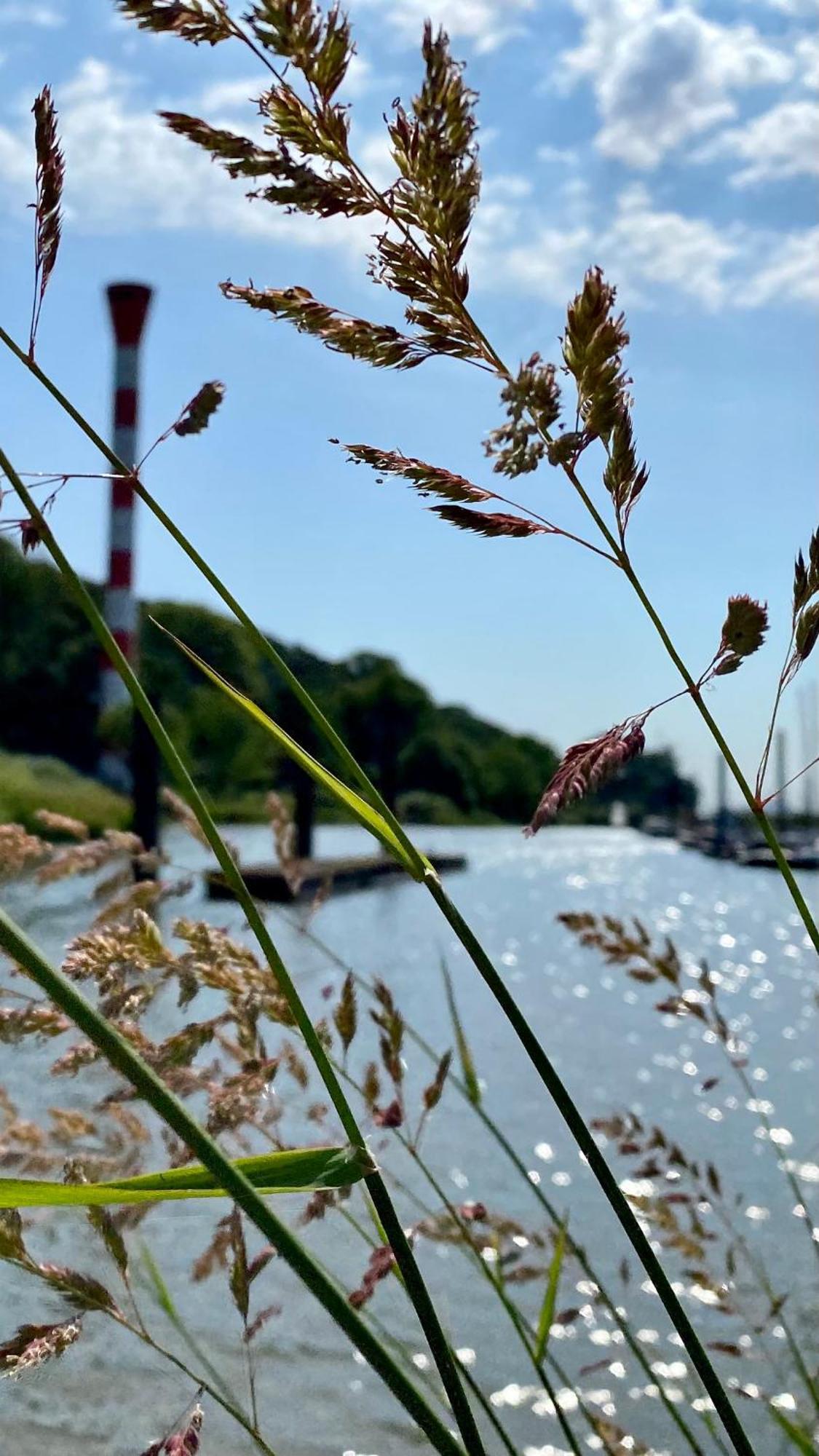 Fischerhaus Blankenese Amburgo Esterno foto