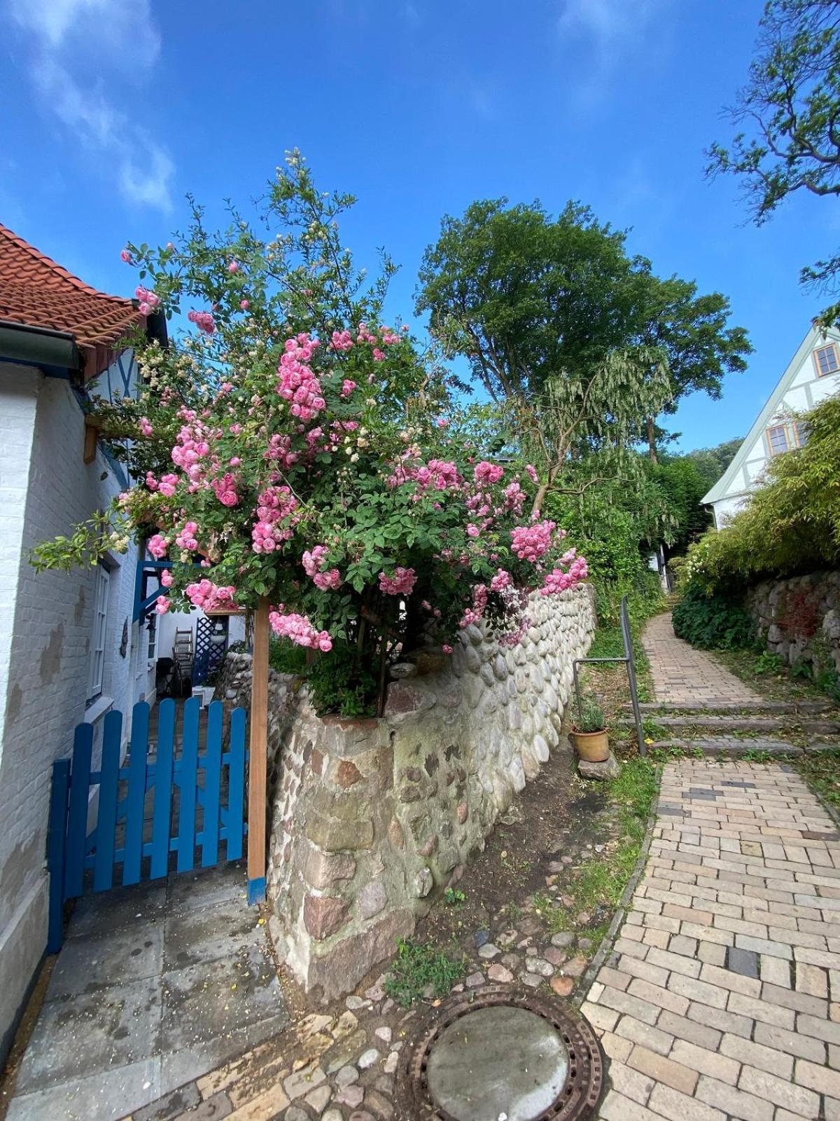Fischerhaus Blankenese Amburgo Esterno foto